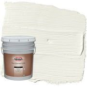Glidden Fundamentals Exterior Paint Gypsum / Off-White, Flat, 5 Gallons