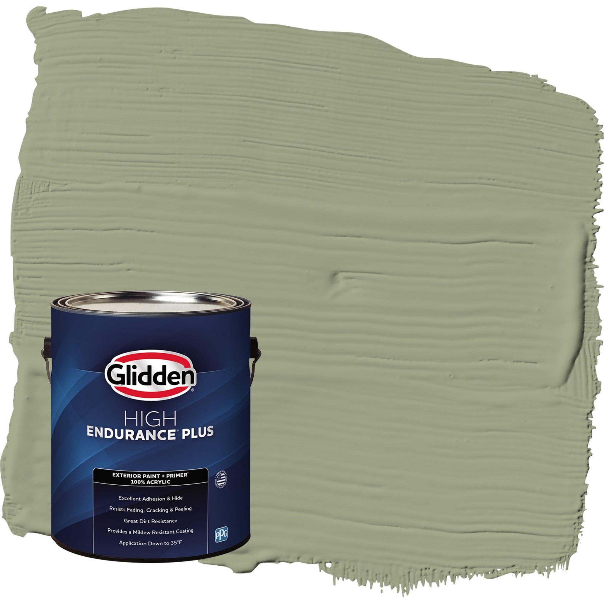 Glidden HEP Zebra Grass / Green Satin Exterior Paint with Primer, 1 Gallon