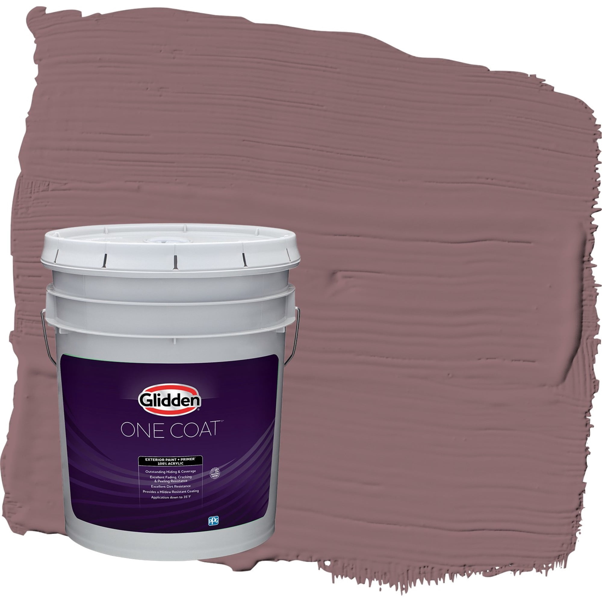 Glidden One Coat Chocolate Sparkle / Purple Semi-Gloss Exterior Paint with Primer, 5 Gallon
