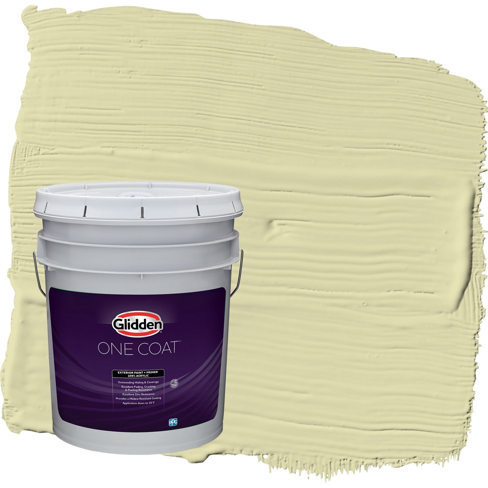 Glidden One Coat Misty Moor / Green Semi-Gloss Exterior Paint with Primer, 5 Gallon