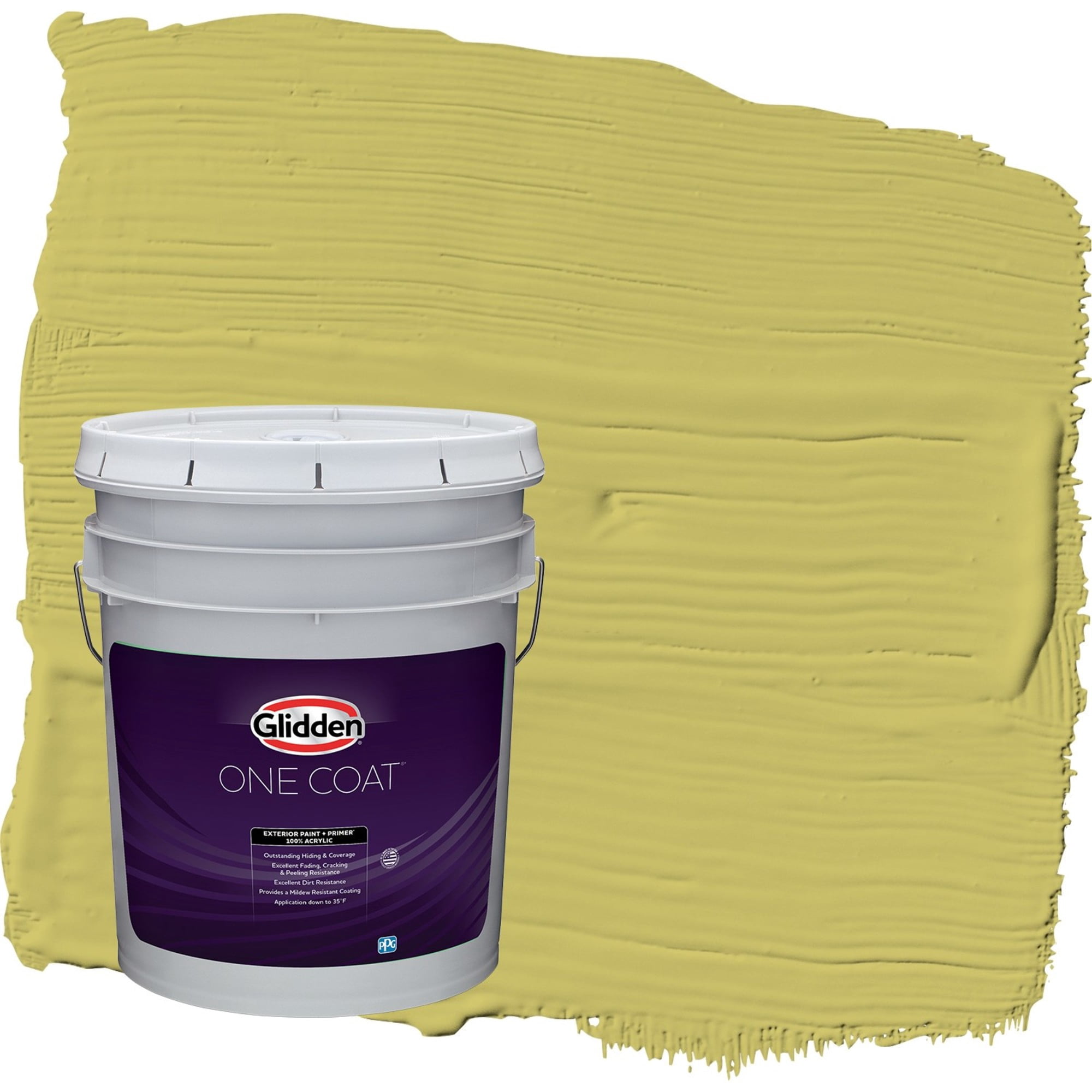 Glidden One Coat Secret Safari / Green Semi-Gloss Exterior Paint with Primer, 5 Gallon