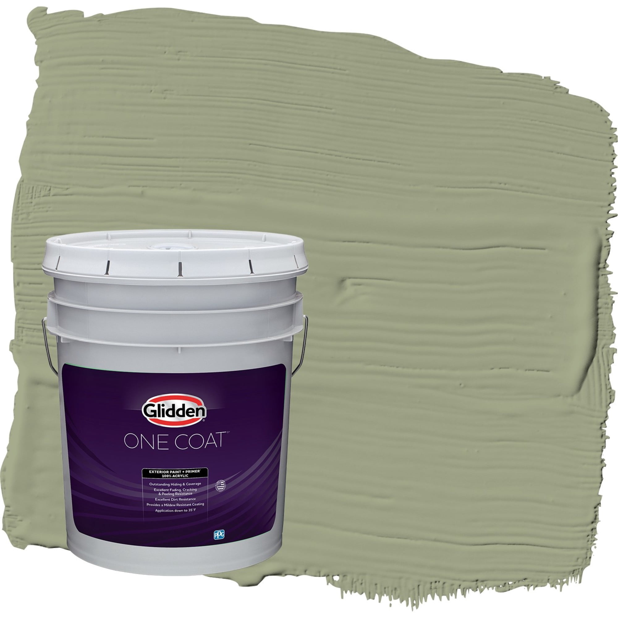 Glidden One Coat Zebra Grass / Green Semi-Gloss Exterior Paint with Primer, 5 Gallon