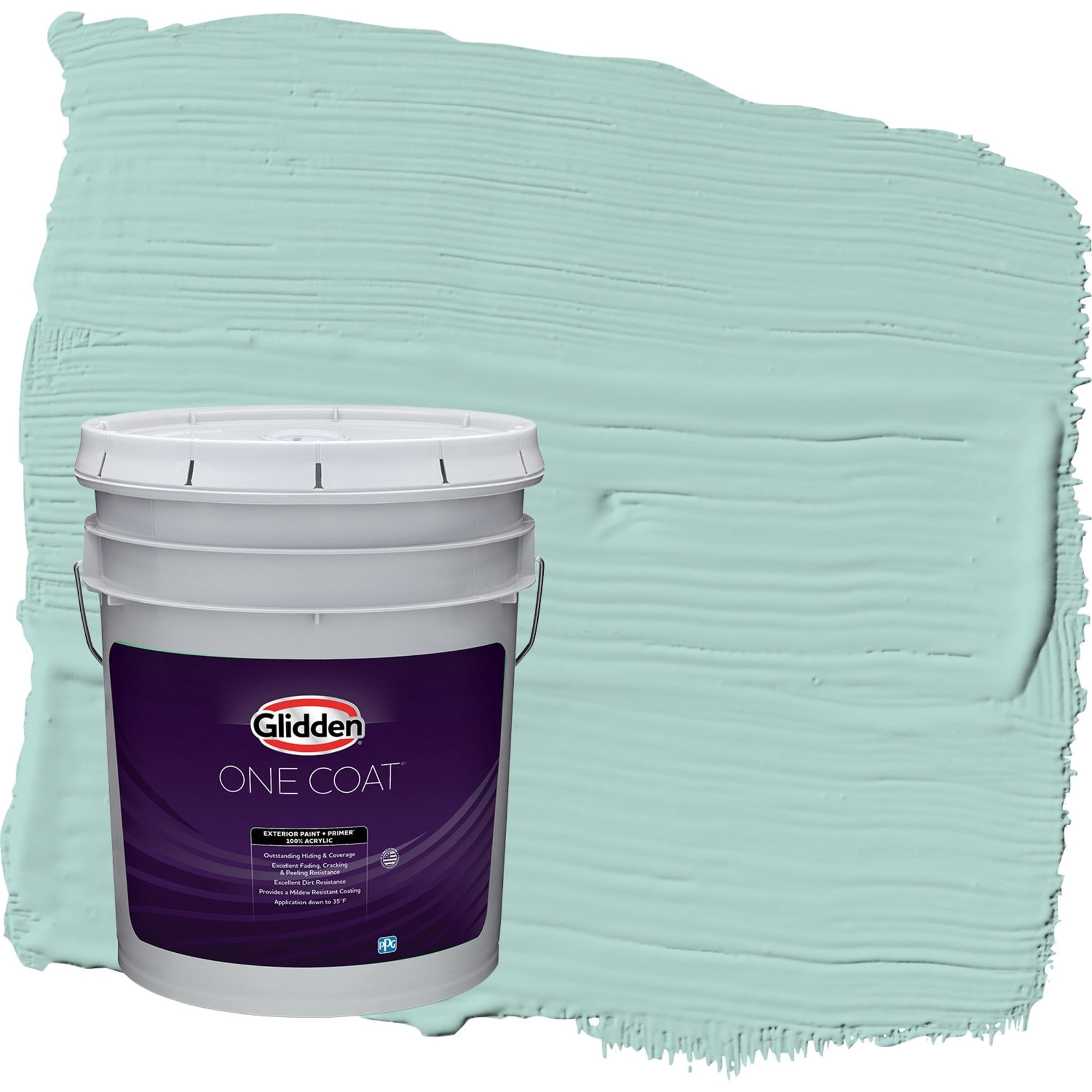Glidden One Coat Cassiopeia / Green Flat Exterior Paint with Primer, 5 Gallon