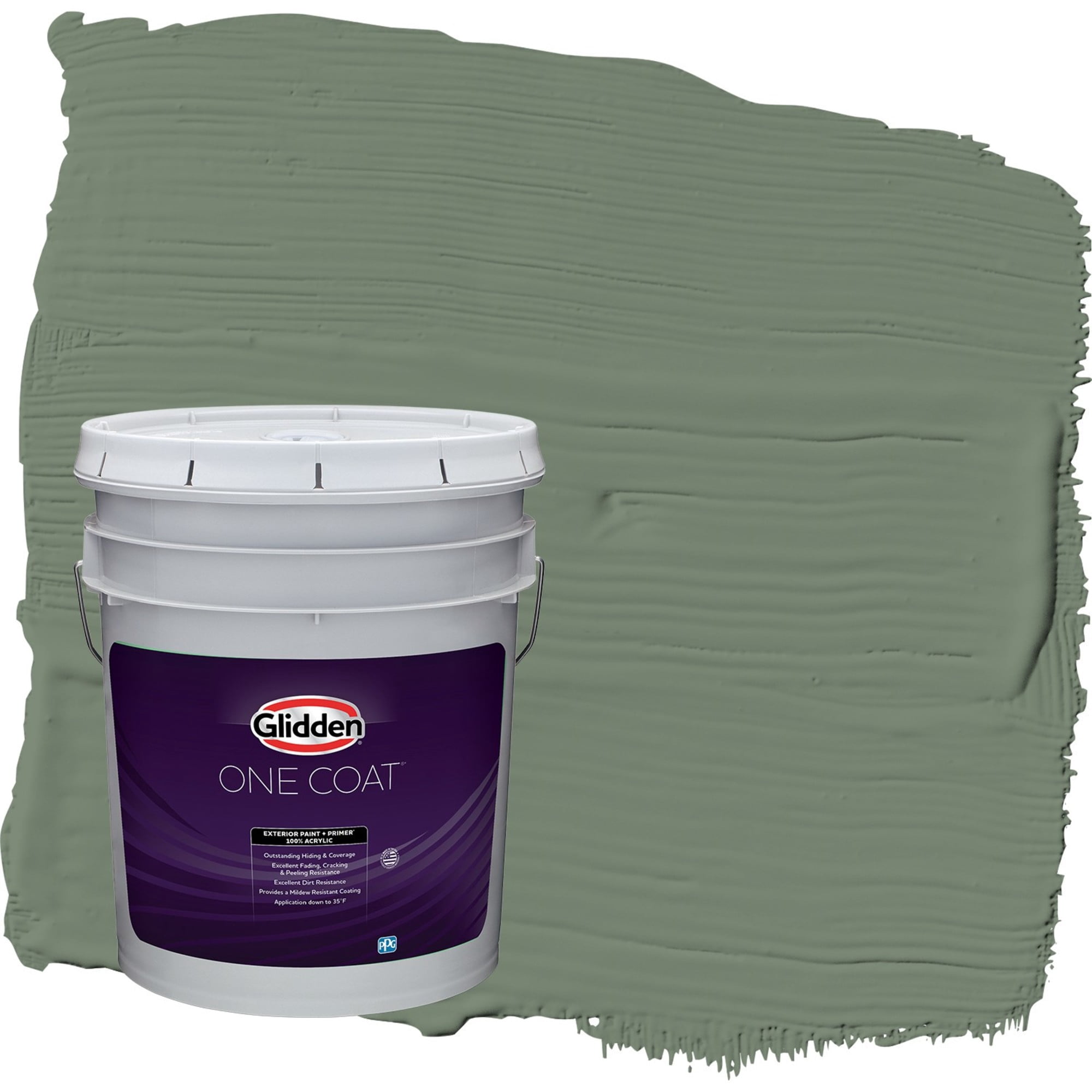 Glidden One Coat Lottery Winnings / Green Satin Exterior Paint with Primer, 5 Gallon
