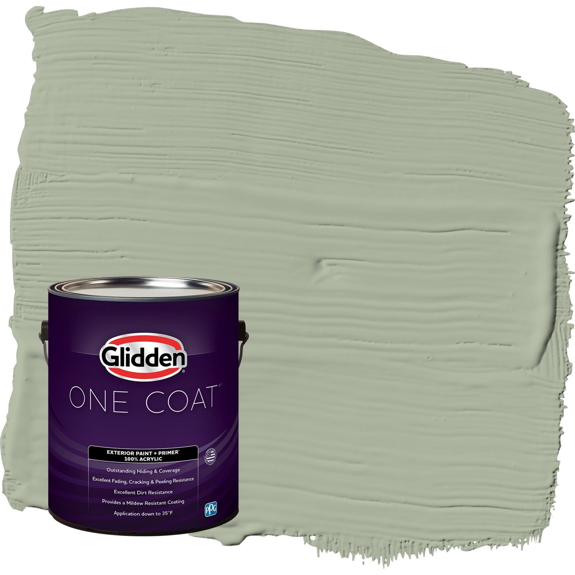Glidden One Coat Gargoyle / Green Satin Exterior Paint with Primer, 1 Gallon