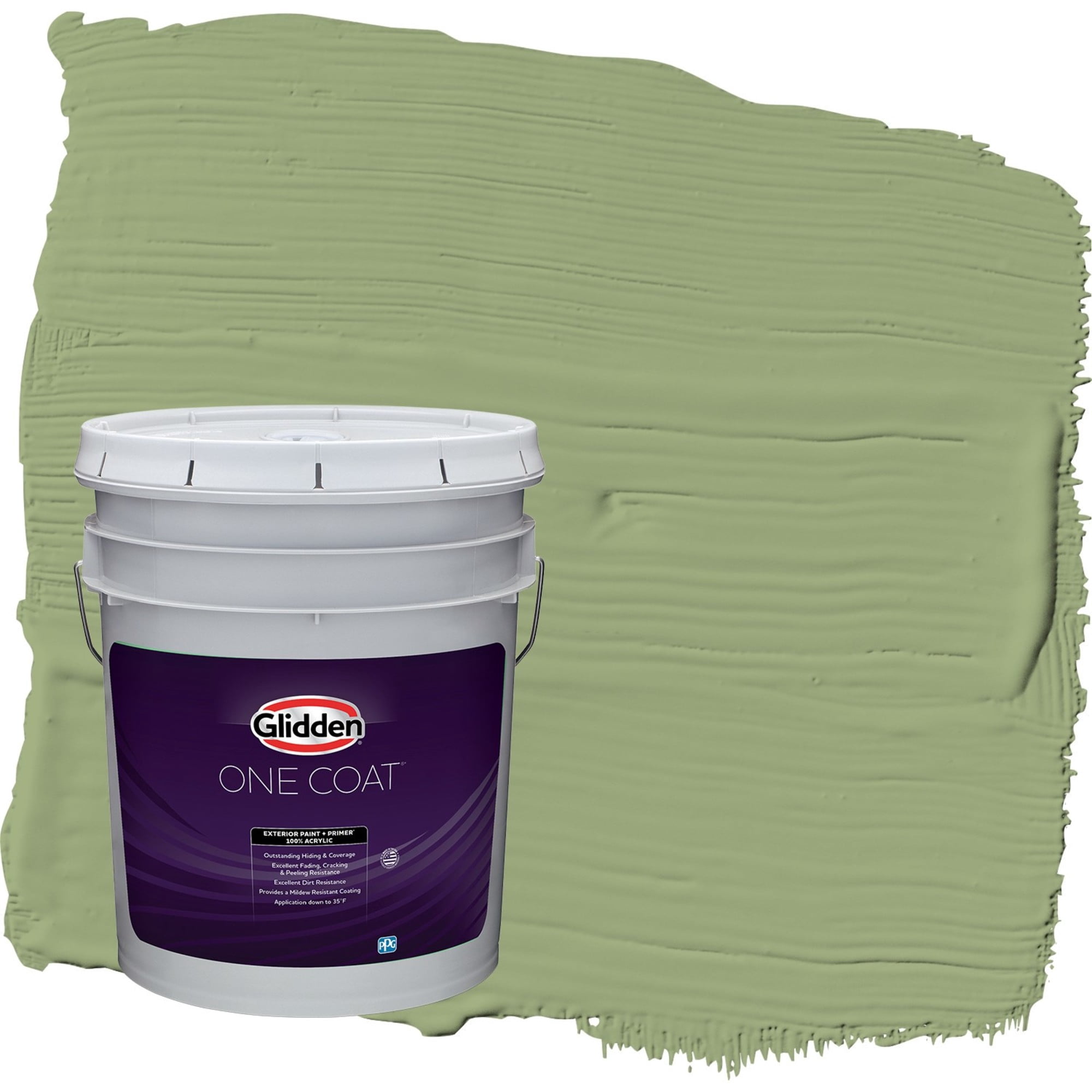 Glidden One Coat Guacamole / Green Flat Exterior Paint with Primer, 5 Gallon