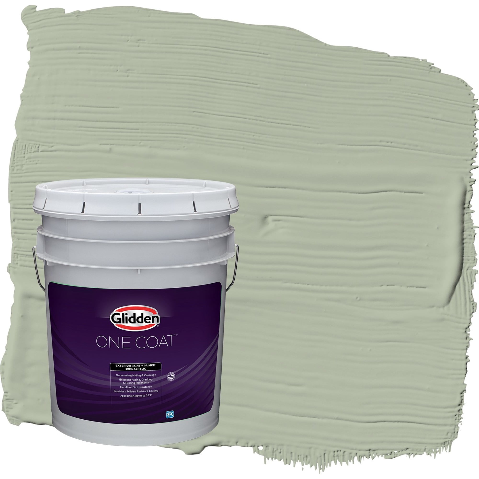 Glidden One Coat Light Sage / Green Flat Exterior Paint with Primer, 5 Gallon