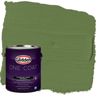 Glidden One Coat Exterior Paint and Primer, Mint Leaves / Green, Gallon, Flat