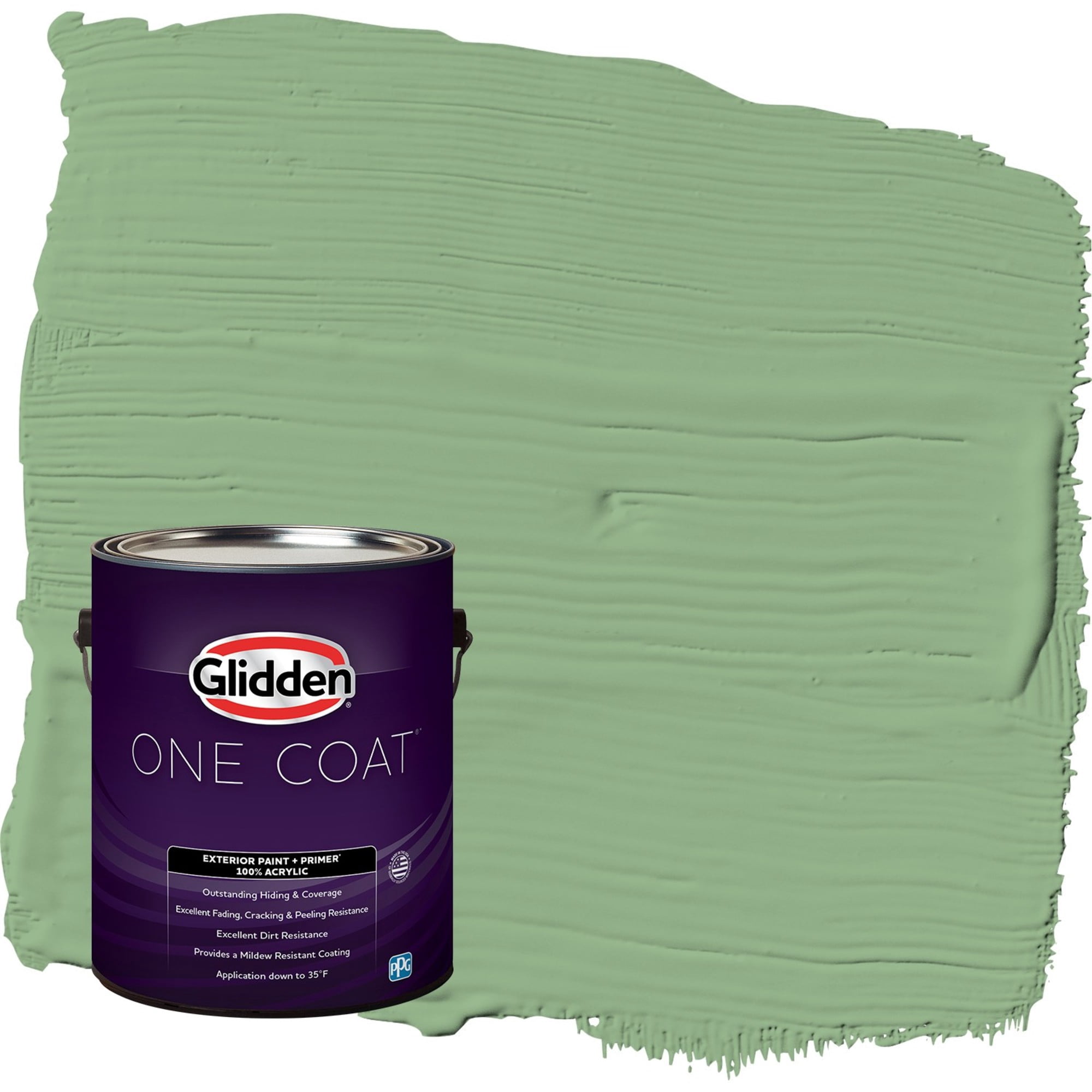 Glidden One Coat Pear Cactus / Green Flat Exterior Paint with Primer, 1 Gallon