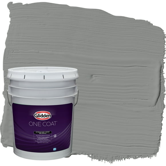 Fossil Grey Paint