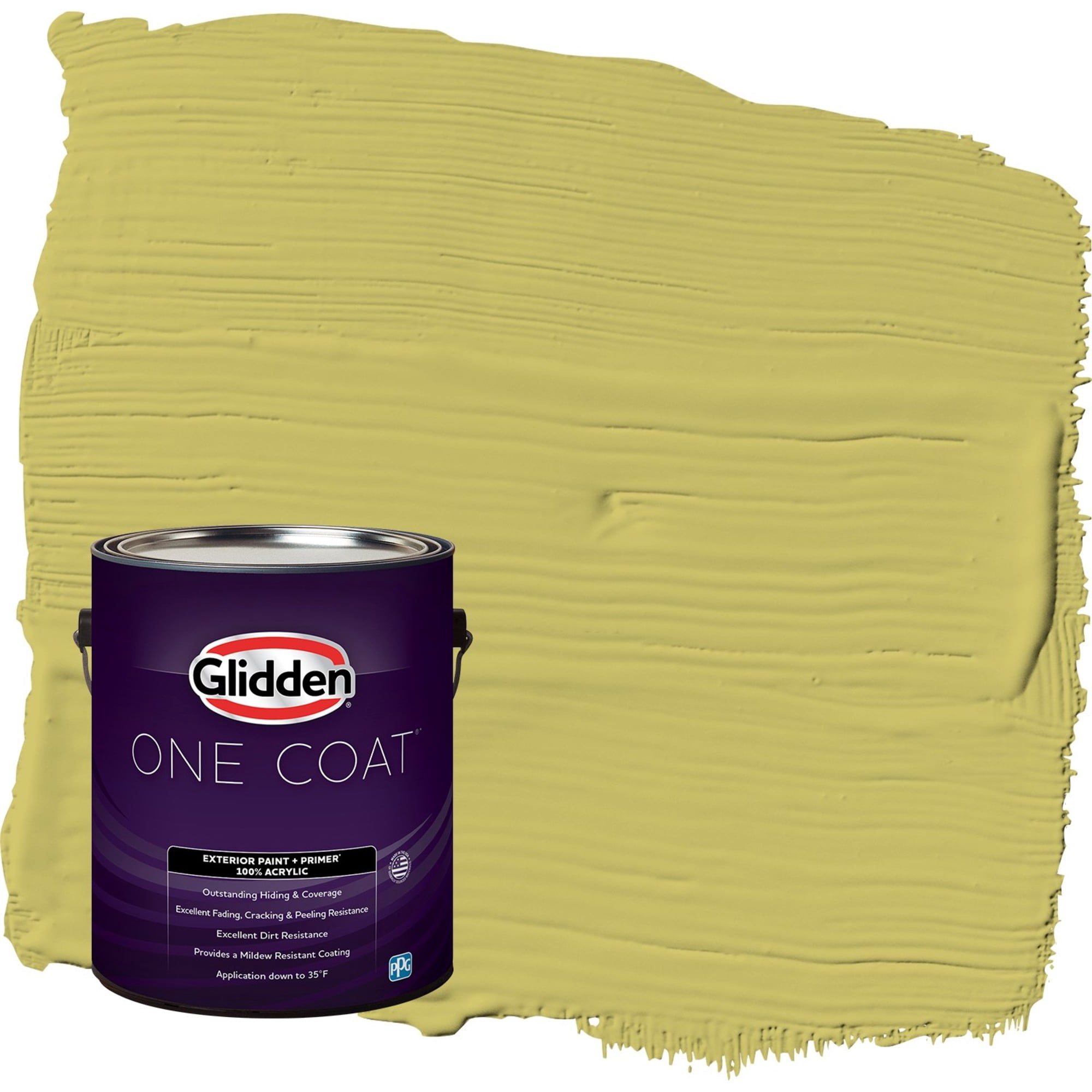 Glidden One Coat Secret Safari / Green Flat Interior Paint with Primer, 1 Gallon