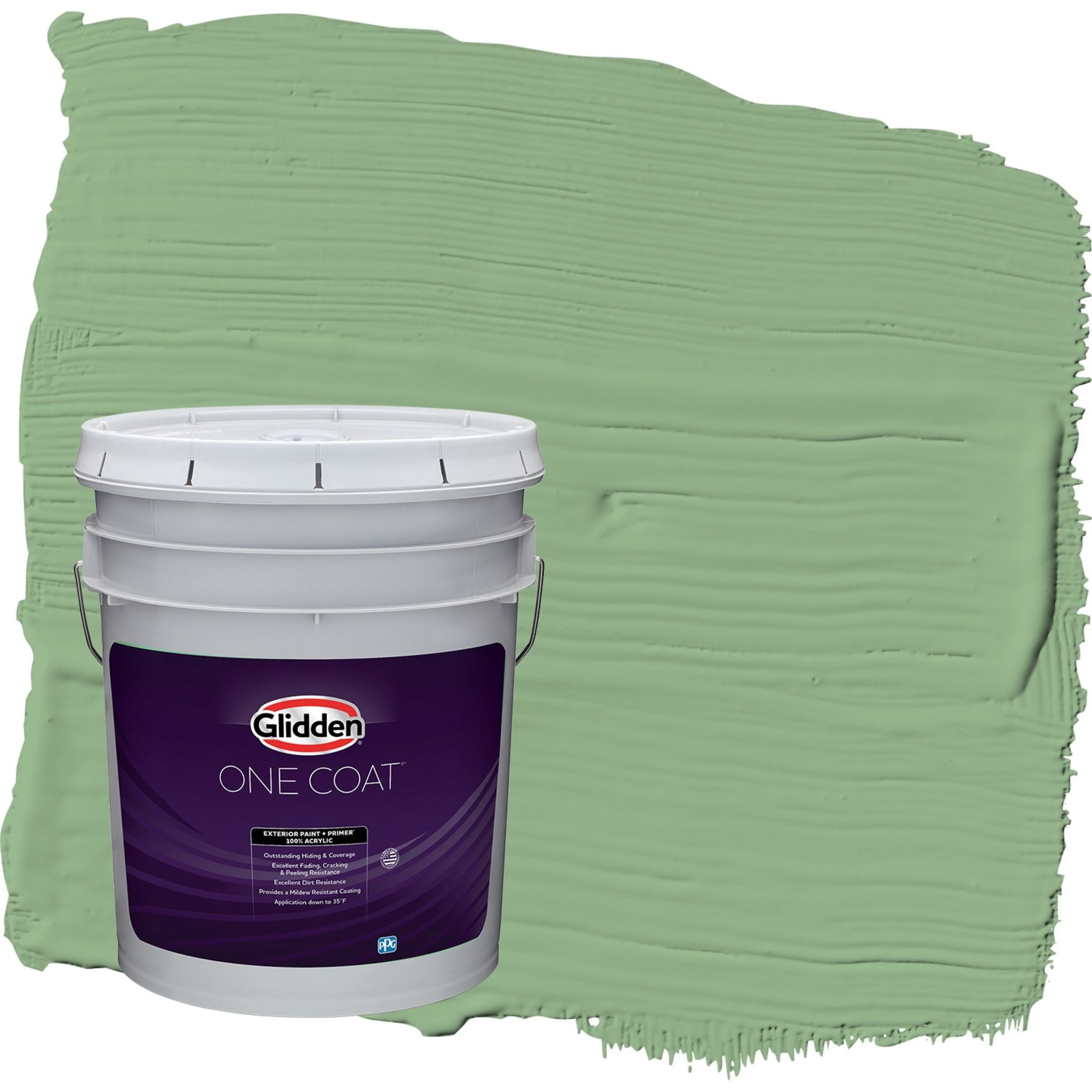 Glidden One Coat Pear Cactus / Green Flat Exterior Paint with Primer, 5 Gallon