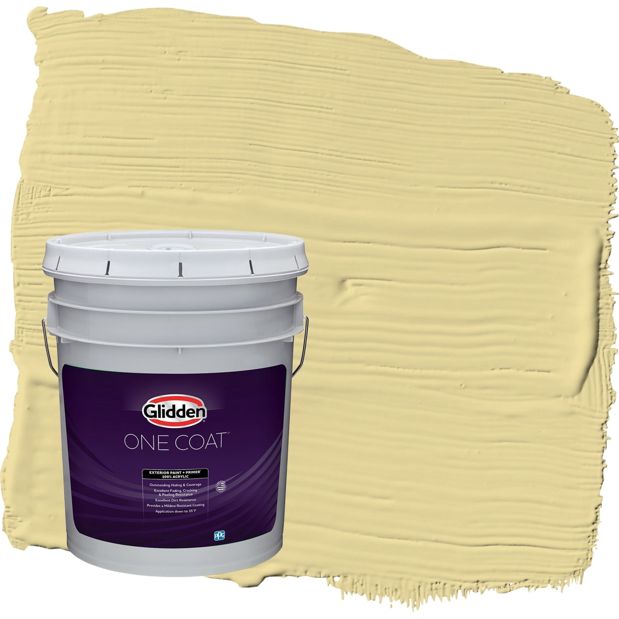 Glidden One Coat Twinkle Toes / Green Flat Exterior Paint with Primer, 5 Gallon