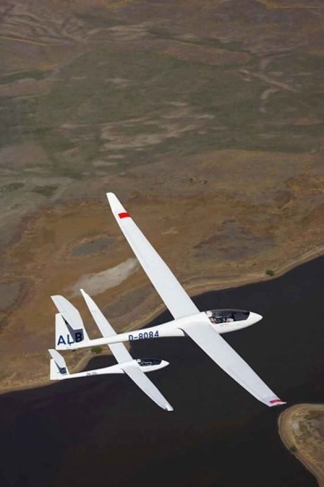 Gliders Racing near Omarama South Island New Zealand Canvas Art - David Wall DanitaDelimont (12 x 17)