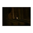 thumbnail image 1 of Glimpse Through the Boards - Brooklyn New York Photography Cat Animal Moody Abandoned Rustic Gothic Mystical Unframed Wall Art Print 5 x 7 inches, 1 of 7