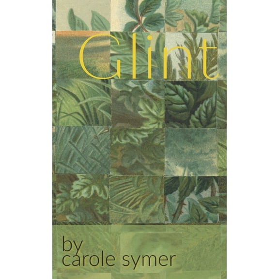 Glint (Paperback) by Carole Symer