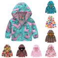thumbnail image 1 of Glisme Boys Coats Casual Jackets Printing Cartoon Hooded Outerwear Zipper Long Sleeve Windproof Toddler Clothes 3-4 Years Blue, 1 of 4