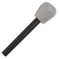 thumbnail image 1 of Glitter Microphone***Standard, 1 of 3