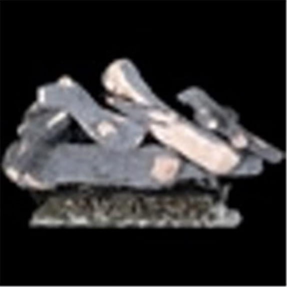 Glo-Fire GF-CA-30-HK-NG 30 in. Hearth Distribution Canyon Gas Natural Log