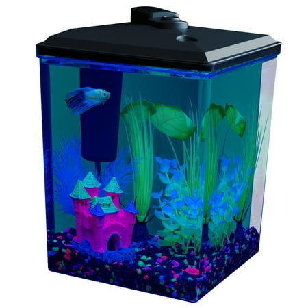 GloFish 2.5 Gallon Corner Aquarium Kit, Includes LED Lighting and Filtration Perfect for GloFish Betta Fish Tank