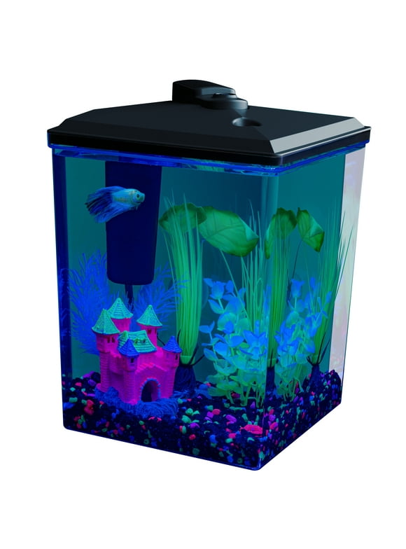 Aquarium Starter Kits in Fish Tanks