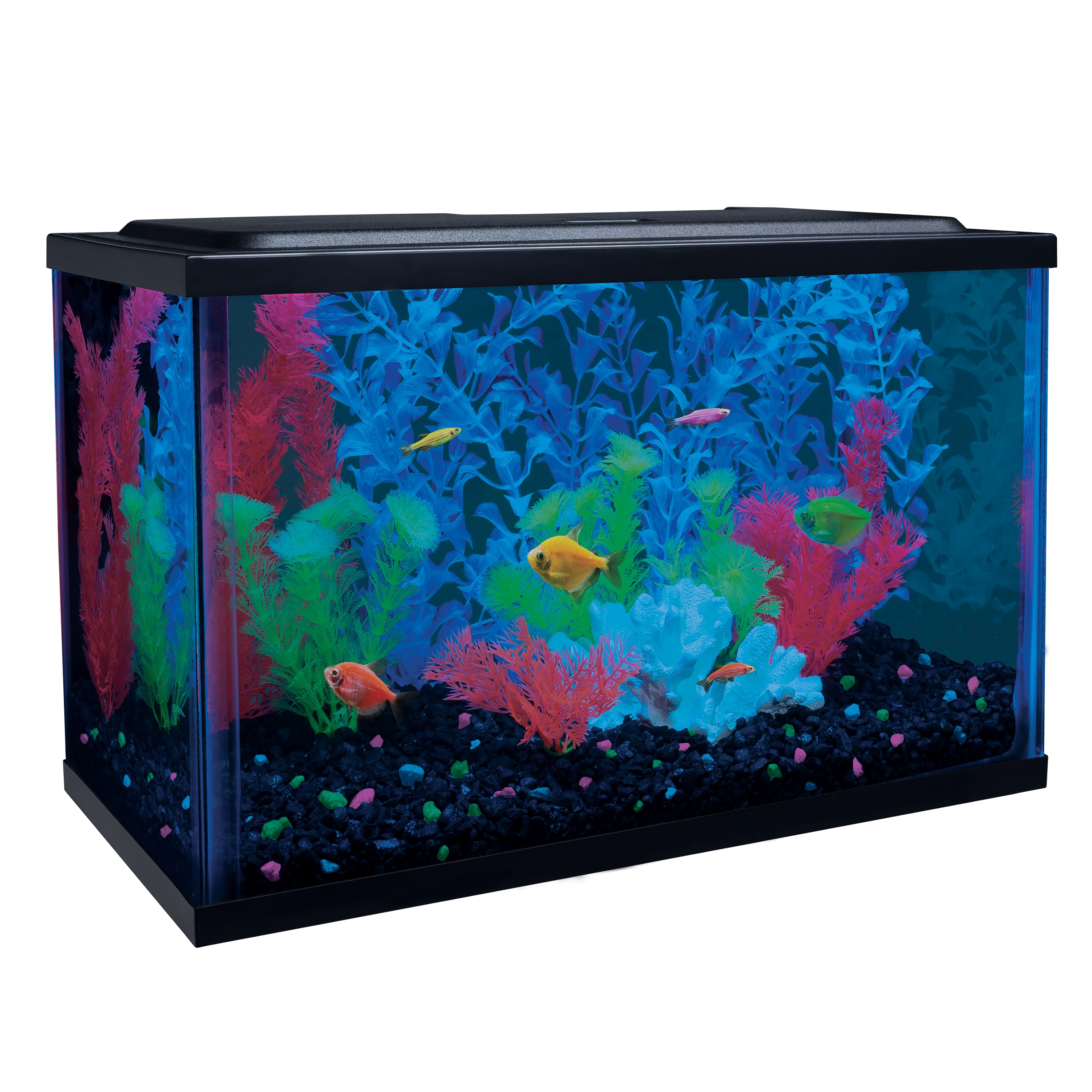 GloFish 5-Gallon Glass Aquarium Kit with LED and Tetra Whisper Filter - image 1 of 7