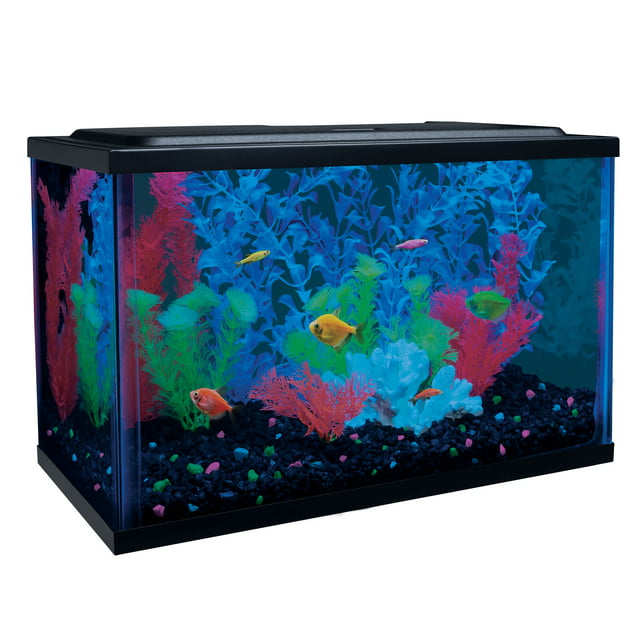 GloFish 5-Gallon Glass Aquarium Kit with LED and Tetra Whisper Filter