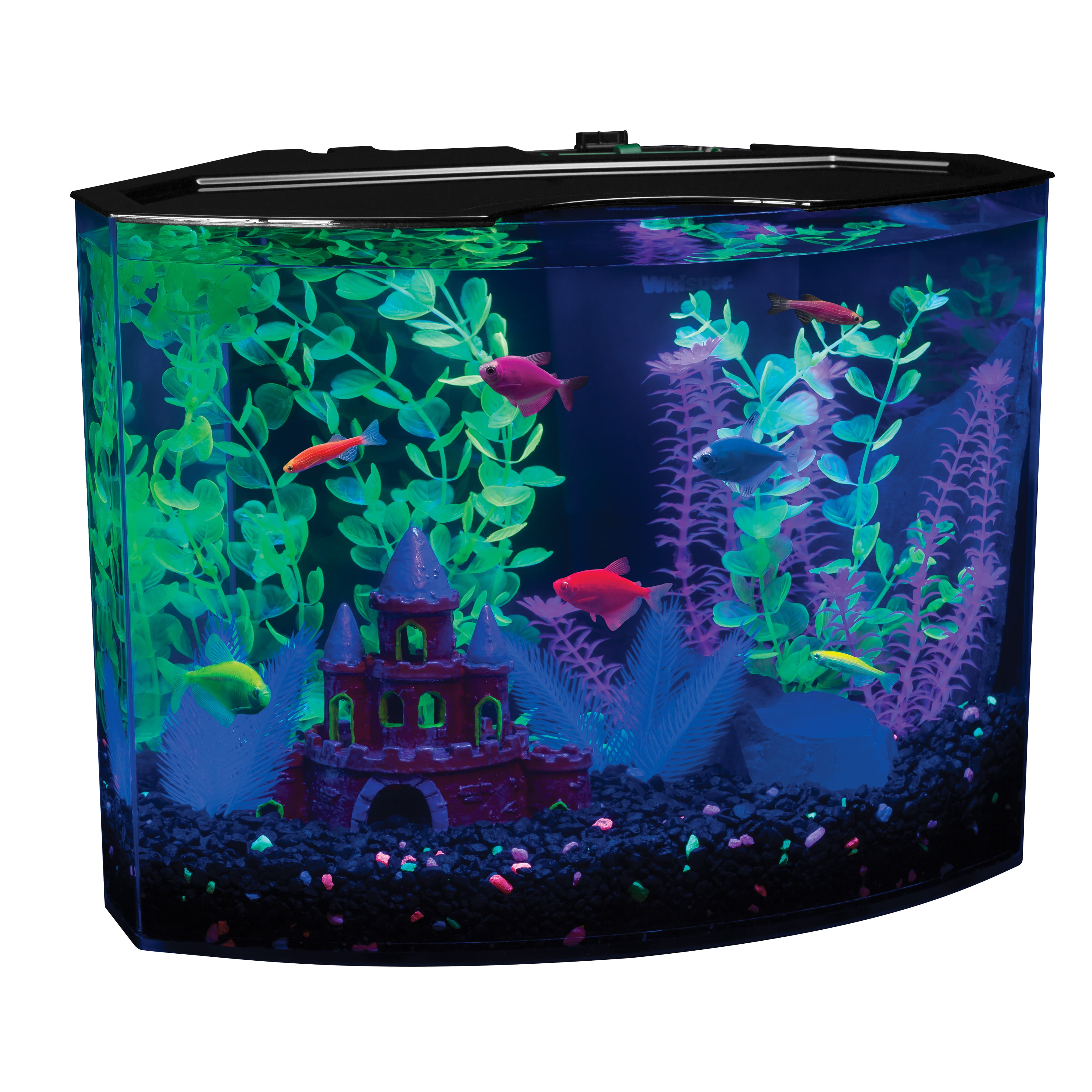 GloFish 5 Gallon Aquarium Kit with LED Light and Filter