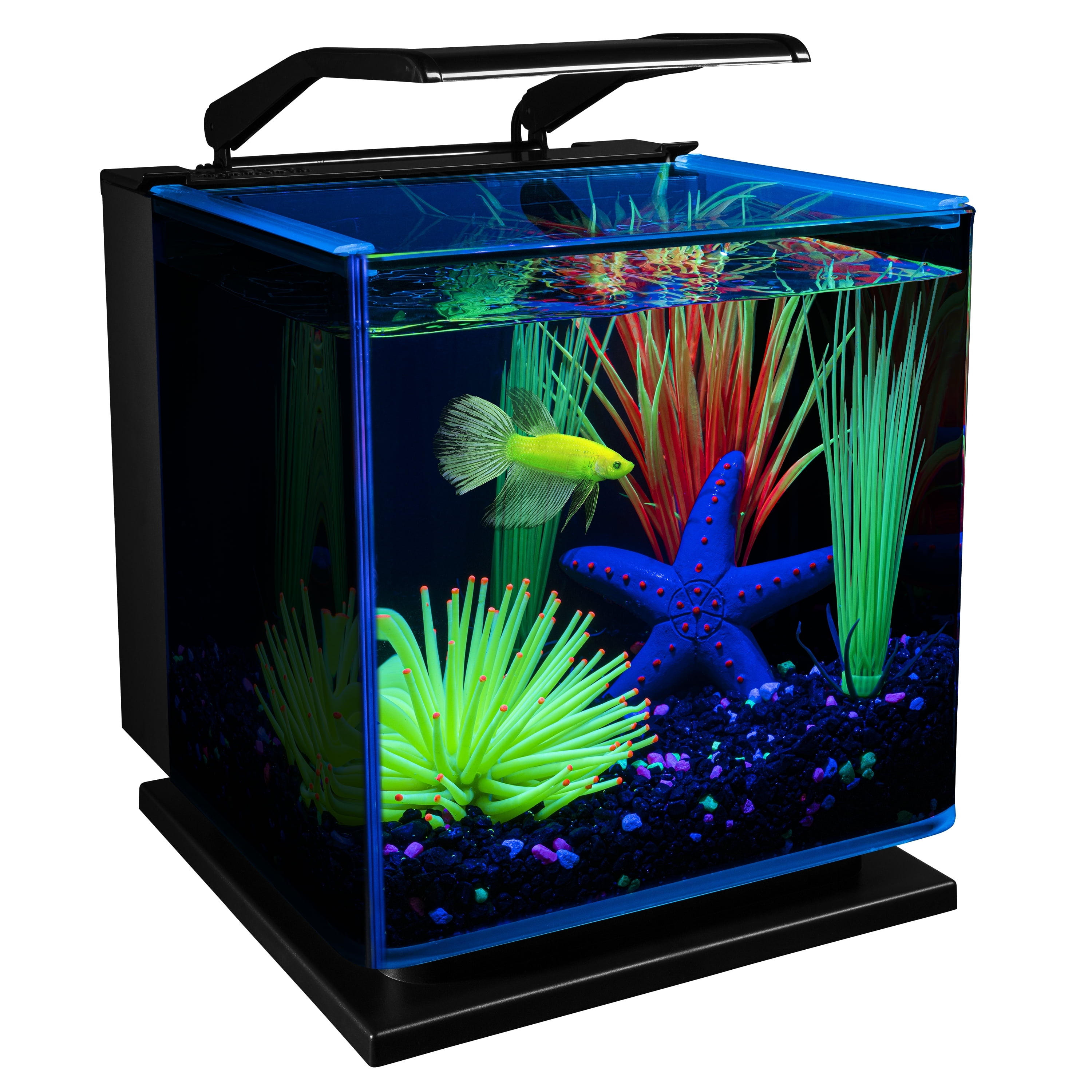 GloFish Betta Shadowbox Aquarium Kit 3 Gallons Includes LED Lighting and Filter