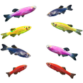 thumbnail image 1 of GloFish&reg; Danio 8ct Live Fish Assortment, 1 of 10