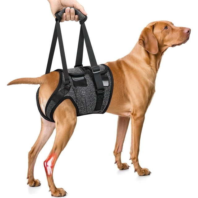 GlobaShun Dog Knee Brace for Torn ACL, Adjustable ACL Brace for Dogs ...