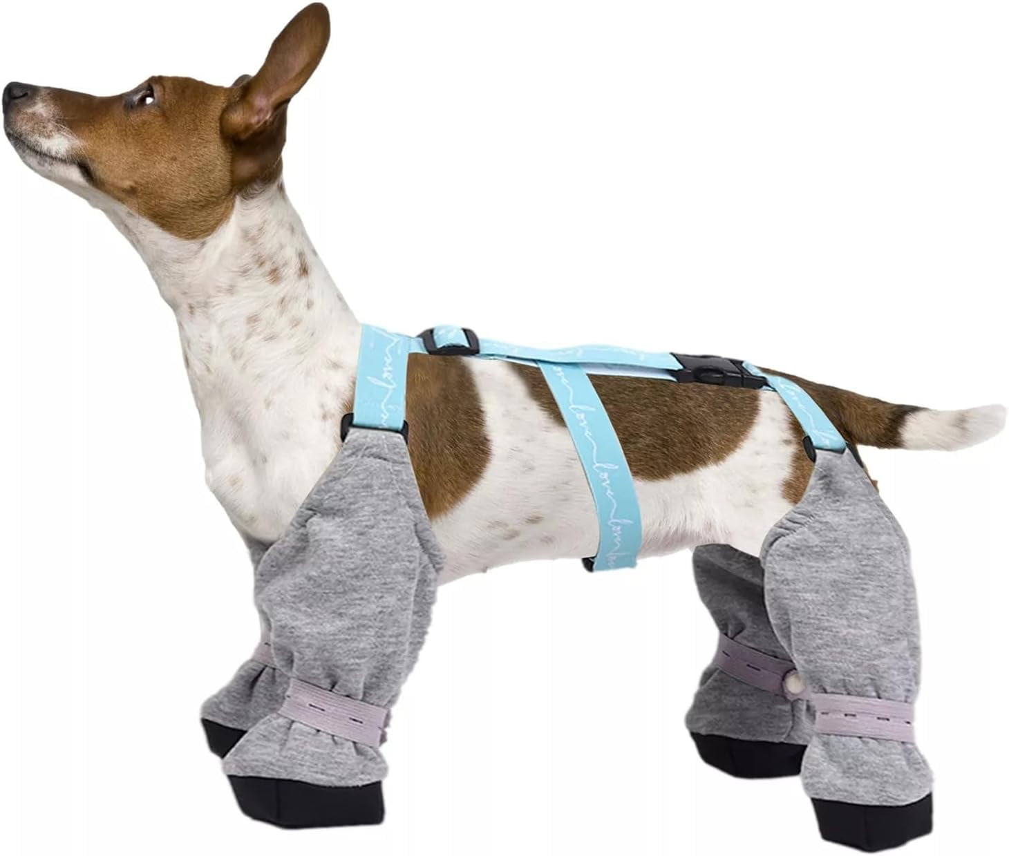 GlobaShun Waterproof Dog Suspender Boots with Suspenders, Suspender Boots for Dogs ，Dog Paw Boot
