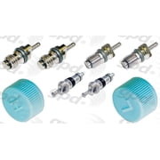 Global A/C System Valve Core and Cap Kit 1311684