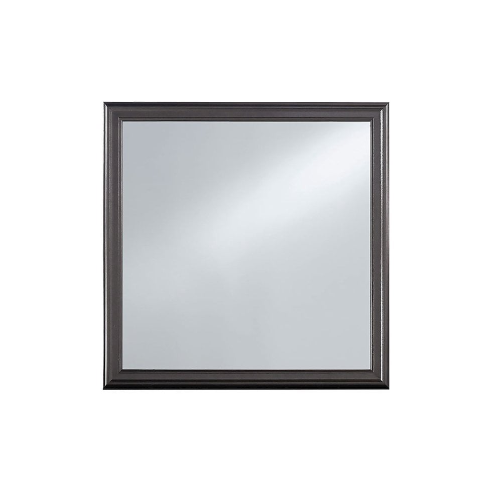 Global Furniture USA Traditional Glam Pompei Metallic Grey Mirror, Metallic Grey