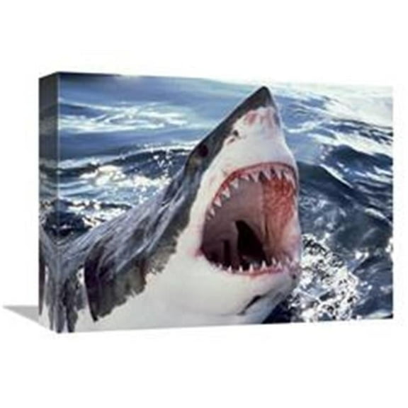 Global Gallery  12 x 16 in. Great White Shark At Surface with Open Mouth, Neptune Islands, Australia. Digitally Enhanced Art Print - Mike Parry