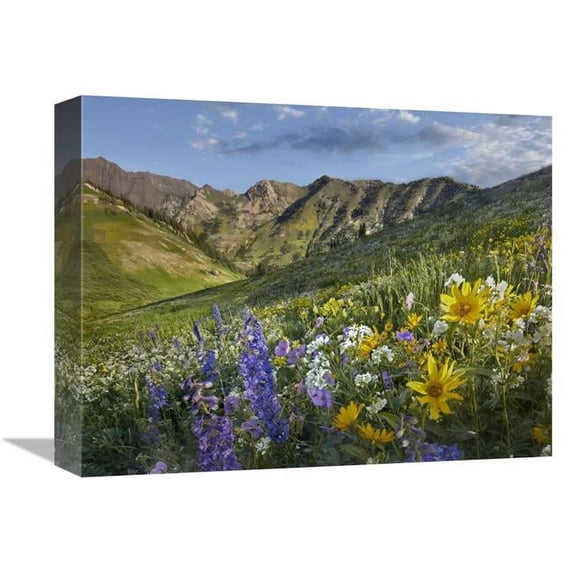 Global Gallery 12 x 16 in. Larkspur & Sunflowers - Albion Basin - Wasatch Range - Utah Art Print - Tim Fitzharris