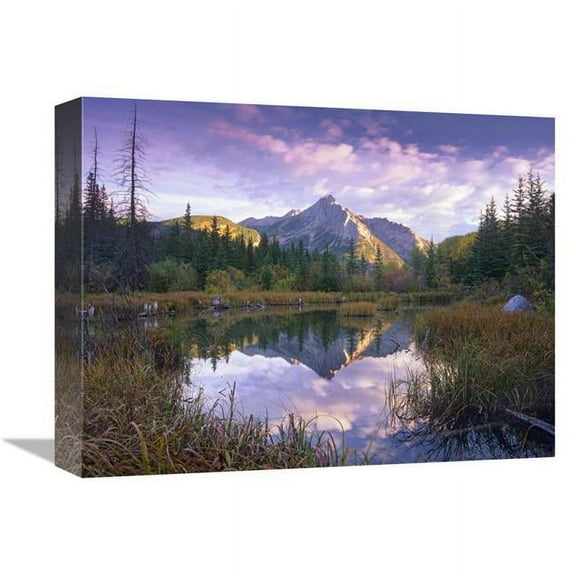 Global Gallery 12 x 16 in. Mount Lorette & Spruce Trees Reflected in Lake - Alberta - Canada Art Print - Tim Fitzharris
