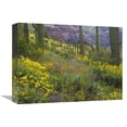 thumbnail image 1 of Global Gallery  Saguaro Amid Flowering Lupine - Organ Pipe Cactus National Monument - Arizona Art Print - Tim Fitzharris, 1 of 1