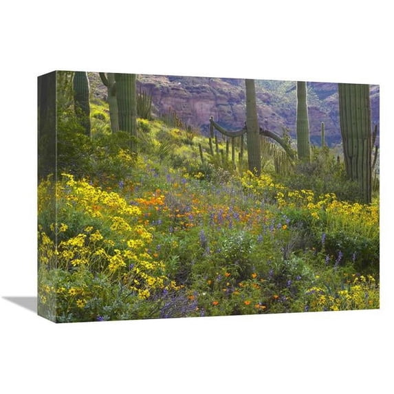 Global Gallery Saguaro Amid Flowering Lupine - Organ Pipe Cactus National Monument - Arizona Art Print - Tim Fitzharris
