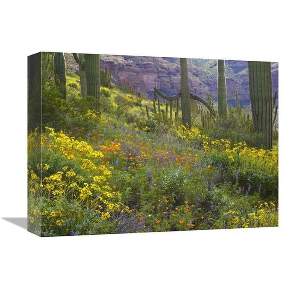 Global Gallery Saguaro Amid Flowering Lupine - Organ Pipe Cactus National Monument - Arizona Art Print - Tim Fitzharris