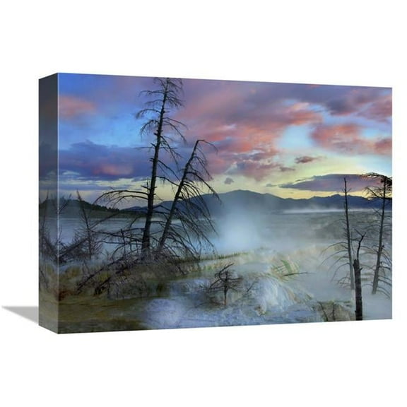 Global Gallery 12 x 16 in. Steam Rising From Travertine Formations - Minerva Terrace - Mammoth Hot Springs - Yellowstone National Park - Wyoming Art Print - Tim Fitzharris