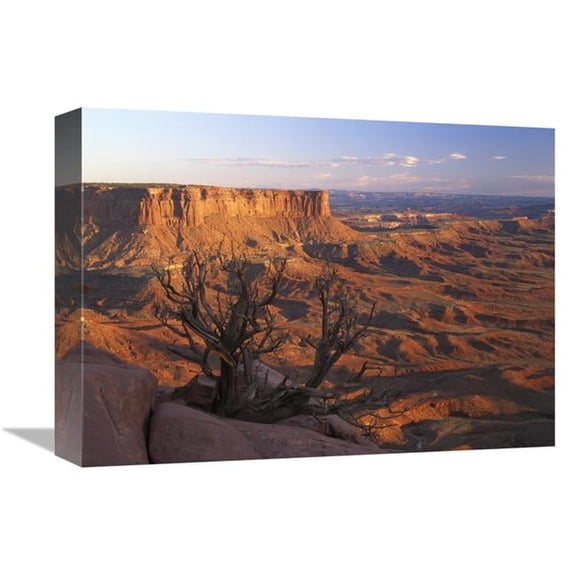 Global Gallery  12 x 16 in. View From Green River Overlook - Canyonlands National Park - Utah Art Print - Tim Fitzharris