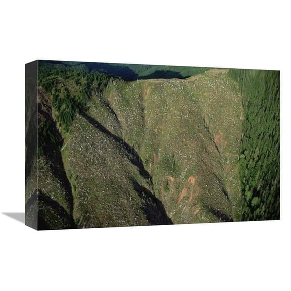 Global Gallery 12 x 18 in. Clear Cutting - Olympic National Park - Washington Art Print - Mark Moffett