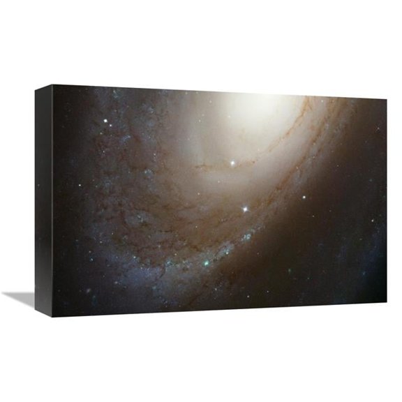 Global Gallery 12 x 18 in. HST ACS Image of M81 Art Print - NASA