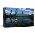 thumbnail image 1 of Global Gallery  12 x 18 in. Horned Grebe Adult At Nest with Eggs in Boreal Pond - Alaska Art Print - Michael Quinton, 1 of 1
