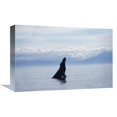 thumbnail image 1 of Global Gallery  12 x 18 in. Humpback Whale Breaching - Southeast Alaska Art Print - Flip Nicklin, 1 of 1