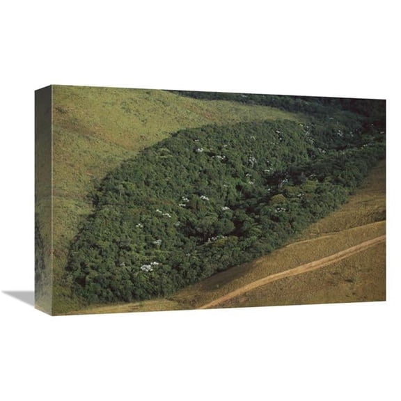 Global Gallery  12 x 18 in. Patch of Remnant Rainforest Surrounded By Clearcut - Belo Horizonte - Atlantic Forest Ecosystem - Brazil Art Print - Mark Moffett