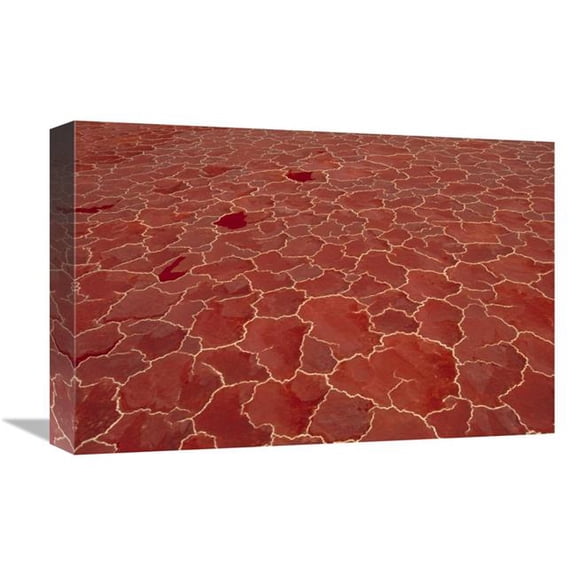 Global Gallery 12 x 18 in. Soda & Algae Formation on Surface of Lake Natron - Great Rift Valley - Tanzania Art Print - Gerry Ellis