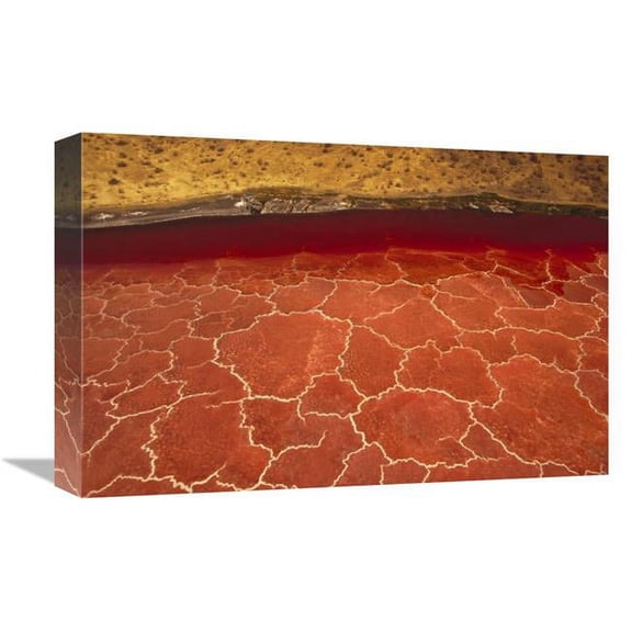 Global Gallery 12 x 18 in. Soda Formations on the Surface of Lake Natron - Tanzania - East Africa Art Print - Gerry Ellis