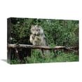 thumbnail image 1 of Global Gallery  Timber Wolf Leaping Over Fallen Log - North America Art Print - Tim Fitzharris, 1 of 1